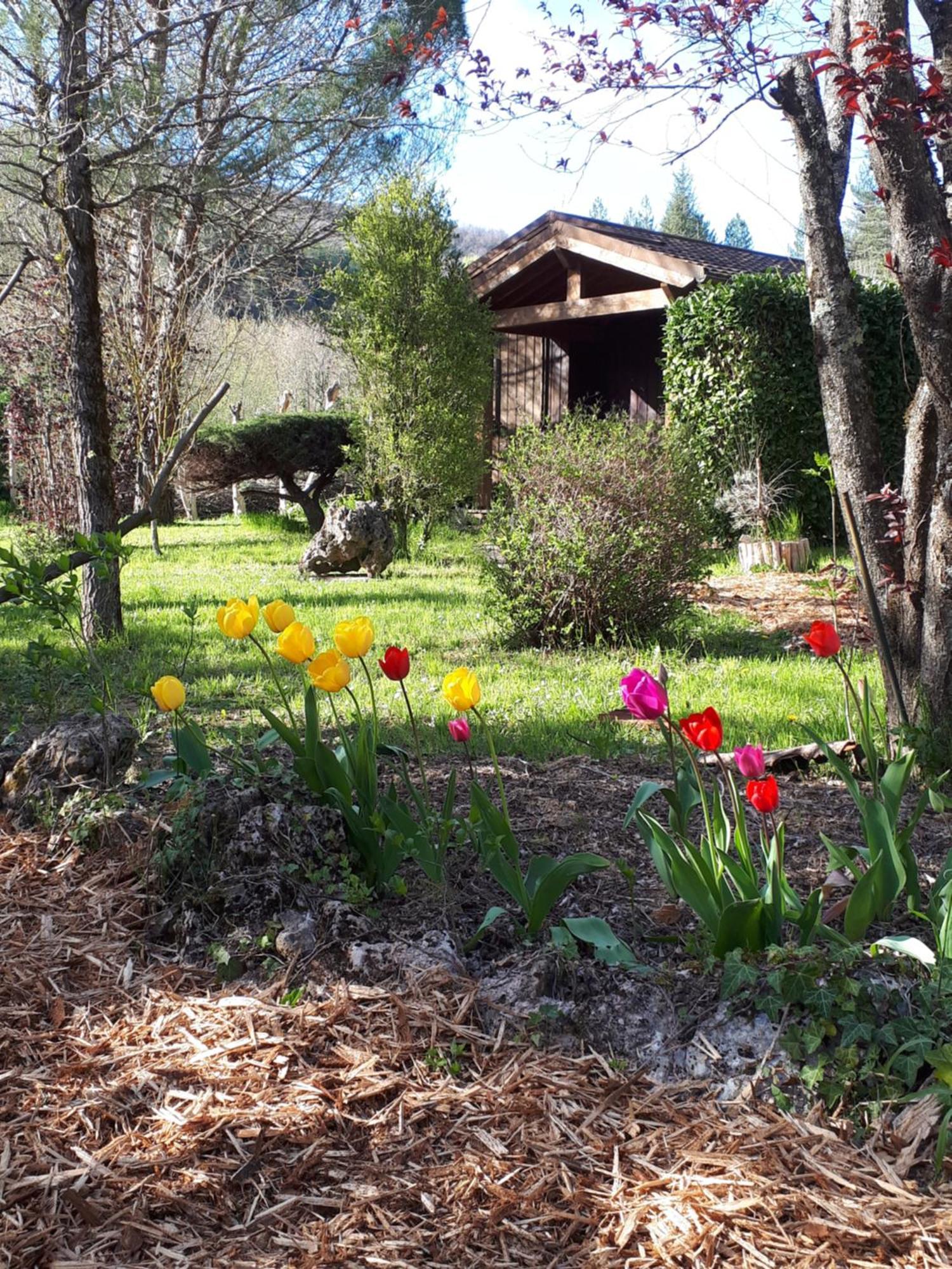 Les Chalets Du Roc Alzon Esterno foto